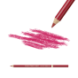 Drawing pencil Hibiscus - 2
