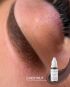 Chestnut - chłodny, hybrydowy, intensywny szaro-brązowy pigment do brwi 10ml. - 6